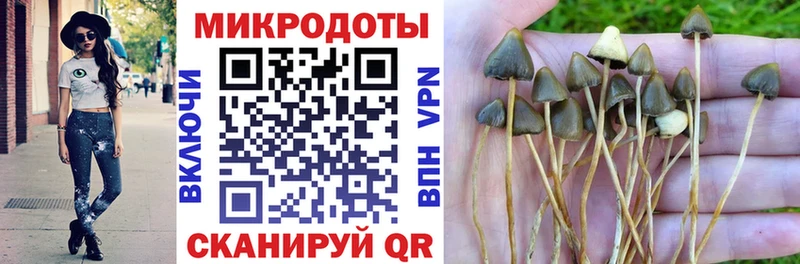 Галлюциногенные грибы Cubensis  Яблоновский 